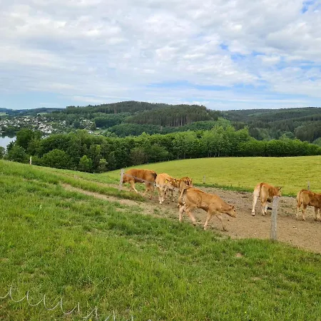 Biggesee-sauerland Naehe Olpe Apartment Drolshagen