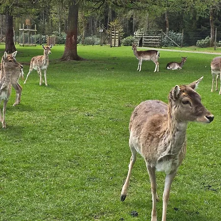 Grosse 3-zimmer Biggesee- Olpe Ideal Fuer Teams Oder Familien *