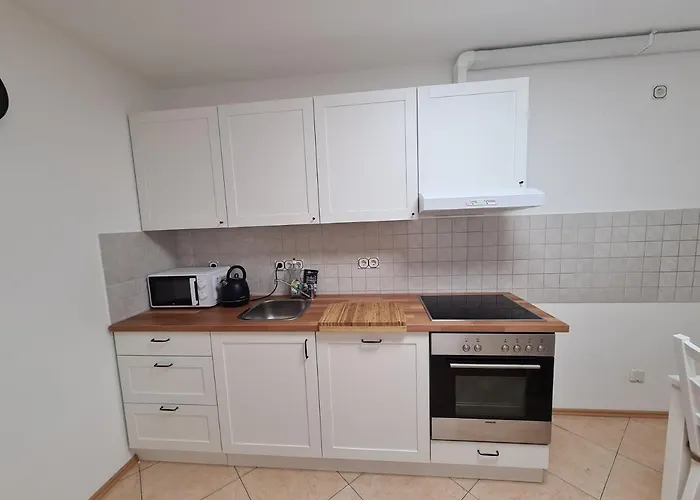 Grosse 3-zimmer Biggesee- Olpe Ideal Fuer Teams Oder Familien Apartment