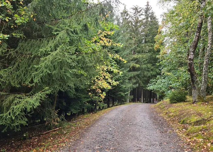 Daire Grosse 3-zimmer Biggesee- Olpe Ideal Fuer Teams Oder Familien *