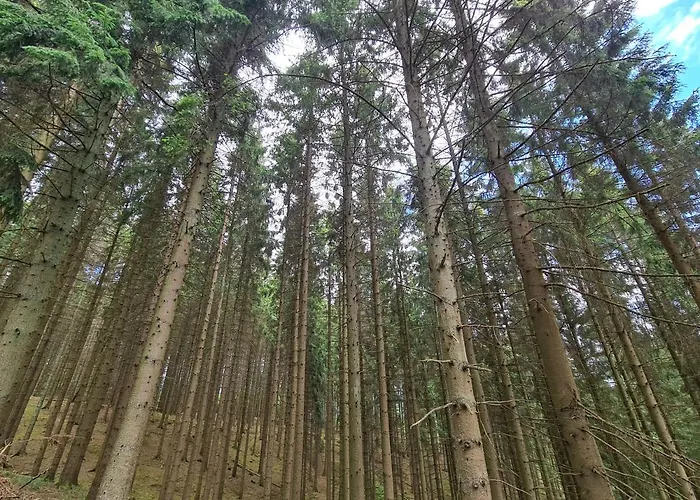 Daire Grosse 3-zimmer Biggesee- Olpe Ideal Fuer Teams Oder Familien