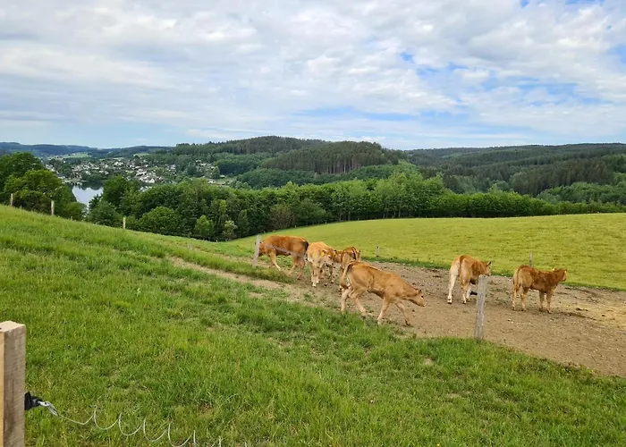 Grosse 3-zimmer Biggesee- Olpe Ideal Fuer Teams Oder Familien Apartmán Drolshagen