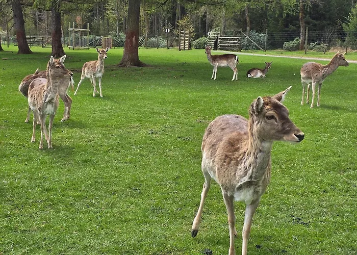 Grosse 3-zimmer Biggesee- Olpe Ideal Fuer Teams Oder Familien *